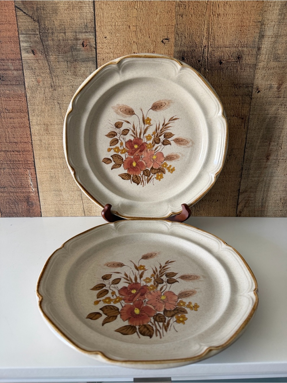 Vtg International Endura Collection Festive  Stoneware Dinner Plates Set of 2